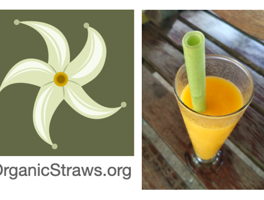 Organic Papaya straws 15cm / 30 pieces